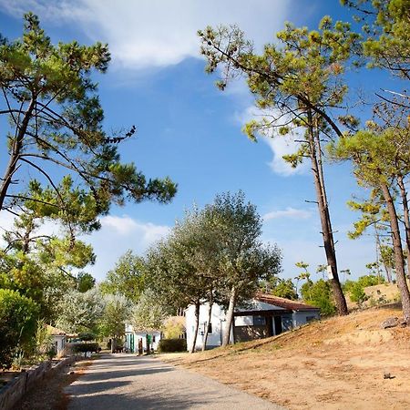 Village Vacances Le Petit Bec Saint-Hilaire-de-Riez Exterior foto